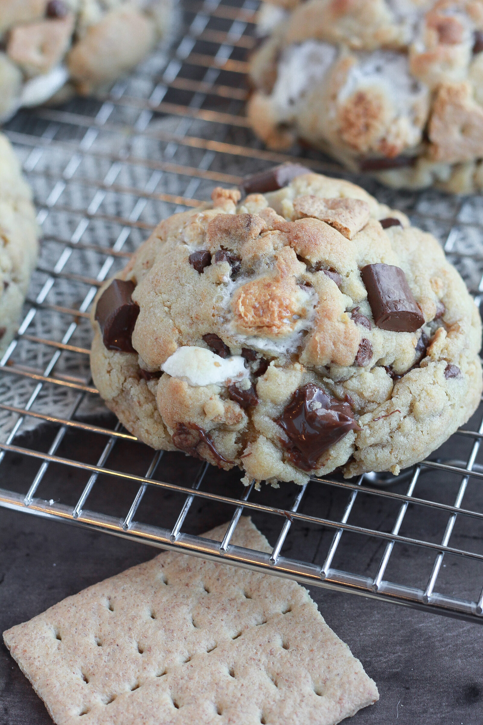 Muffin Top Pan S'mores Cookies - Cookie Madness